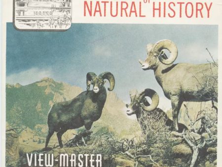 Denver Museum and Natural History - View-Master 3 Reel Packet - vintage - A338-S5 Online