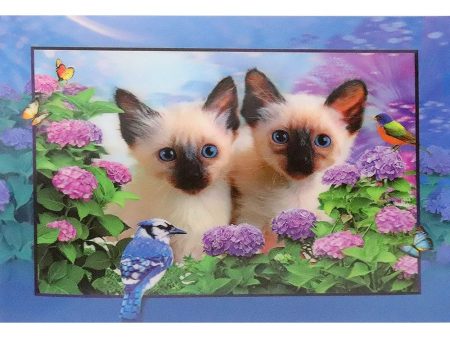 2 Birman Kittens with a bird - 3D Lenticular Poster - 12x16 Print - New Fashion