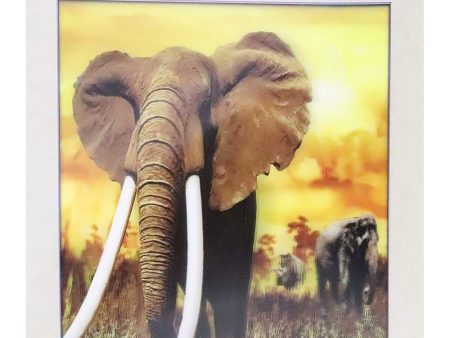 Elephant - 3D Lenticular Poster - 16 x 16 Print - New For Discount