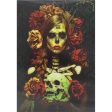 Catrina with Skull  - 3D Lenticular Poster - 12x16 Print - New Fashion