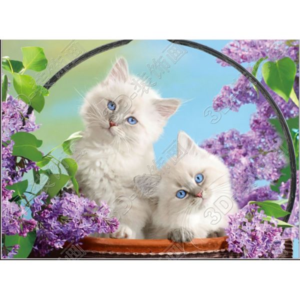 Fluffy white kittens - 3D Lenticular Poster - 12x16 -  NEW on Sale