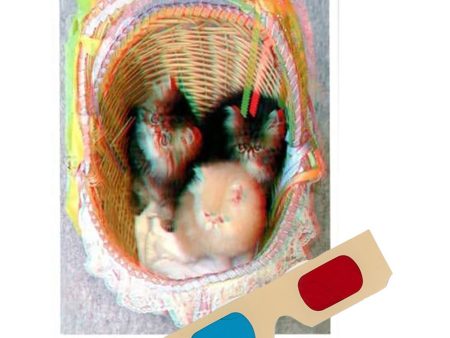 Persian Kittens in basket - Phantogram Greeting Card - with 3D Glasses - Image Pops Up from the Card - Unique 3D - NEW For Sale