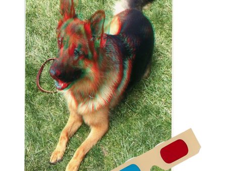 German Shepherd - Phantogram Greeting Card - with 3D Glasses - Image Pops Up from the Card - Unique 3D - NEW For Discount