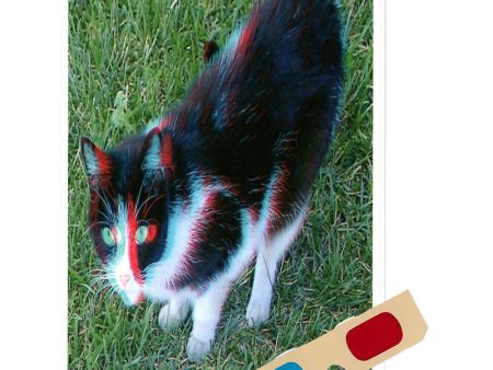 Mason (Cat) - Phantogram Greeting Card - with 3D Glasses - Image Pops Up from the Card - Unique 3D - NEW For Discount