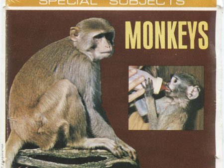 Monkeys - View-Master 3 Reel Packet - 1978 -  vintage - J63-V2 For Cheap