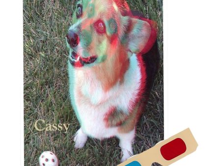 Cassy (Dog) - Phantogram Greeting Card - with 3D Glasses - Image Pops Up from the Card - Unique 3D - NEW Sale