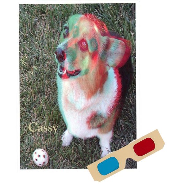 Cassy (Dog) - Phantogram Greeting Card - with 3D Glasses - Image Pops Up from the Card - Unique 3D - NEW Sale