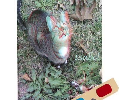 Isabel (Cat)  - Phantogram Greeting Card - with 3D Glasses - Image Pops Up from the Card - Unique 3D - NEW Hot on Sale