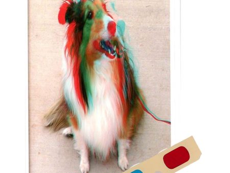 Collie - Phantogram Greeting Card - with 3D Glasses - Image Pops Up from the Card - Unique 3D - NEW For Cheap