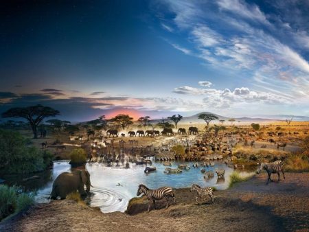 Puzzle - 4D Cityscape - Stephen Wilkes Serengeti National Park, Day to Night (1000 Pieces) Sale