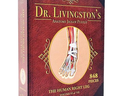 Puzzle - Genius Games - Dr Livingston: Human Right Leg (848 Pieces) For Cheap